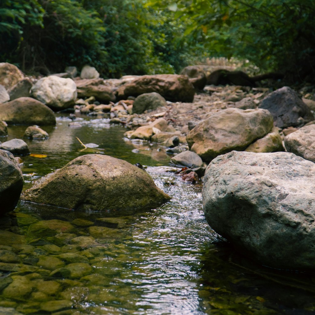 Alla scoperta del torrentismo con il CAI di&nbsp;Gallarate