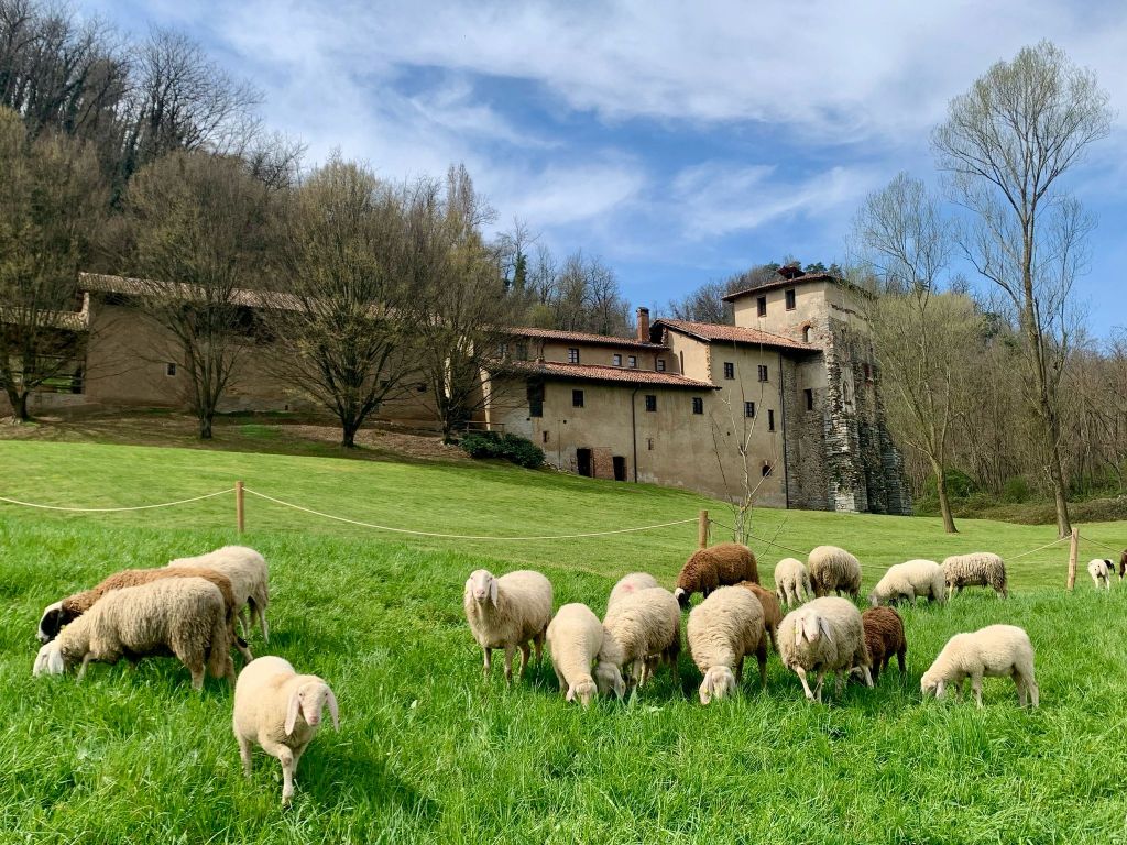 Tre appuntamenti tra storia, immaginazione e dolci della tradizione al Monastero di&nbsp;Torba