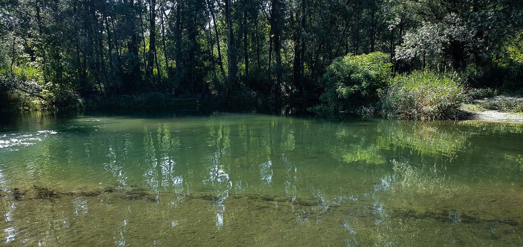 Natura Inattesa: escursione tra ex aeroporto e fitodepurazione nel Parco&nbsp;Ticino
