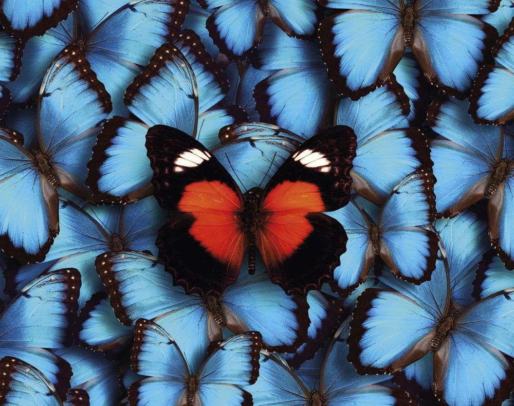 Roberto Emanuelli presenta “Tutta questa felicità” alla Libreria Biblos Mondadori di&nbsp;Gallarate