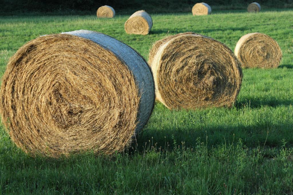 Festa delle Arti, dei Sapori e della Cultura – Arcisate (6-8&nbsp;giugno)