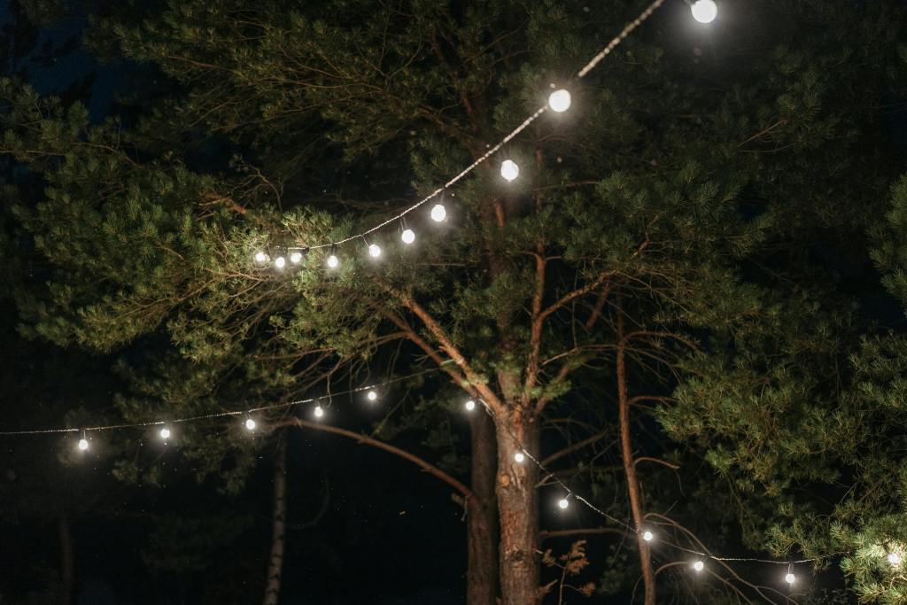 Dancehall sotto le stelle con i GooD VibeS SounD al Circolo Quarto&nbsp;Stato