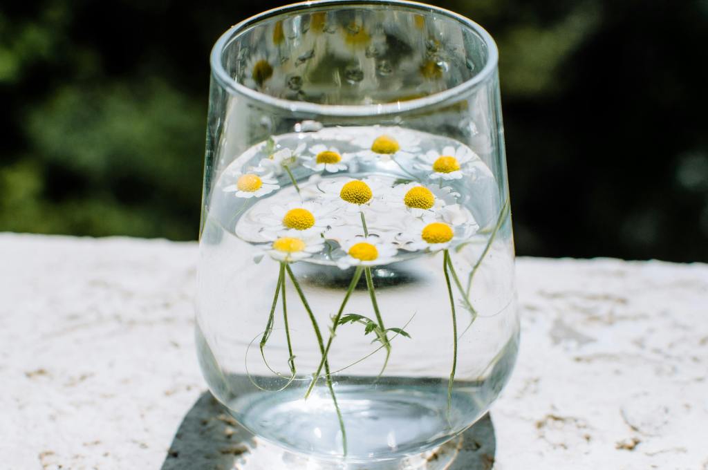 Ti racconto una chicca: Solstizio d’Estate, cosa c’è dietro al giorno più lungo dell’anno: tradizioni popolari e culture antiche in&nbsp;Italia