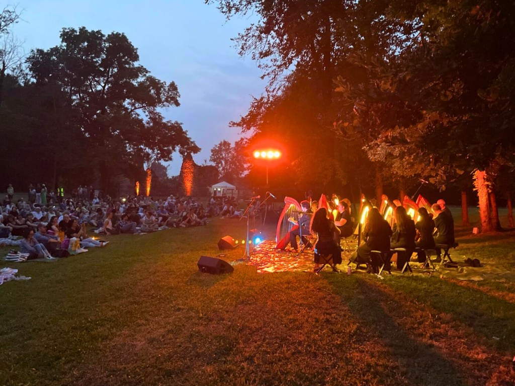 PICNIC sotto le stelle cadenti a Tradate: Una serata magica tra natura, musica e&nbsp;desideri