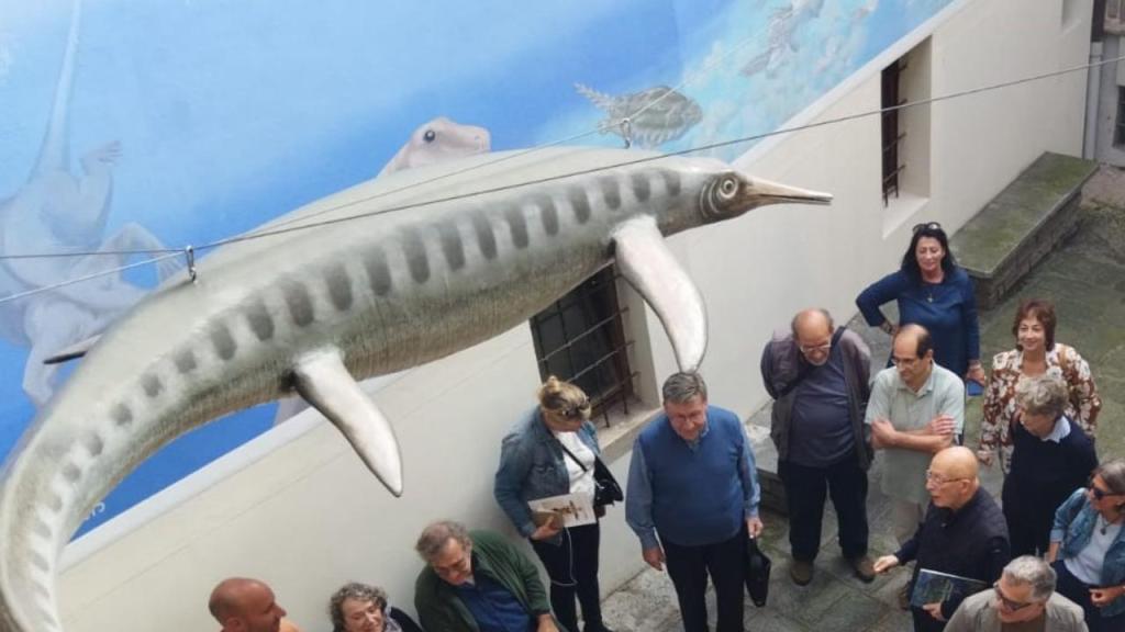 I martedì sera di Besano: passeggiate al tramonto e visita al Museo dei&nbsp;Fossili