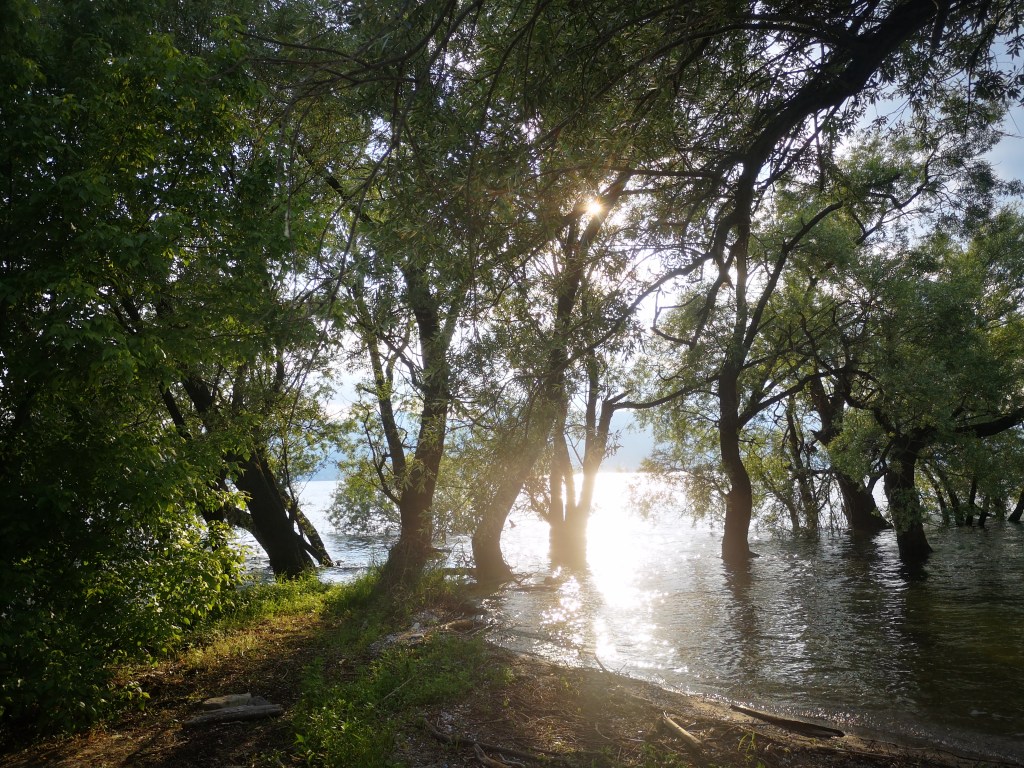 Tramonto sul Lago: Escursione alle Sabbie d’Oro con apericena in&nbsp;spiaggia