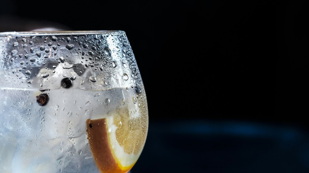 Gin Festival Gorla Maggiore 2025: due giorni esplosivi tra drink, musica e street&nbsp;food!