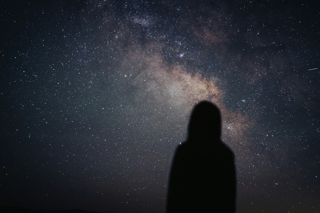 Tra fuoco, stelle e miti: una serata dedicata al Leone nel Parco&nbsp;Pineta