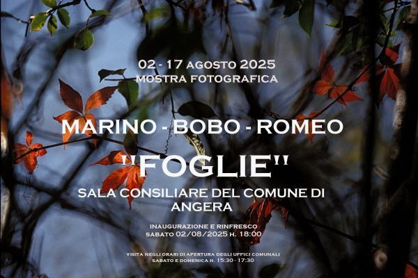 “Foglie” di Marino Bobo Romeo: ad Angera la natura si fa immaginario&nbsp;fotografico