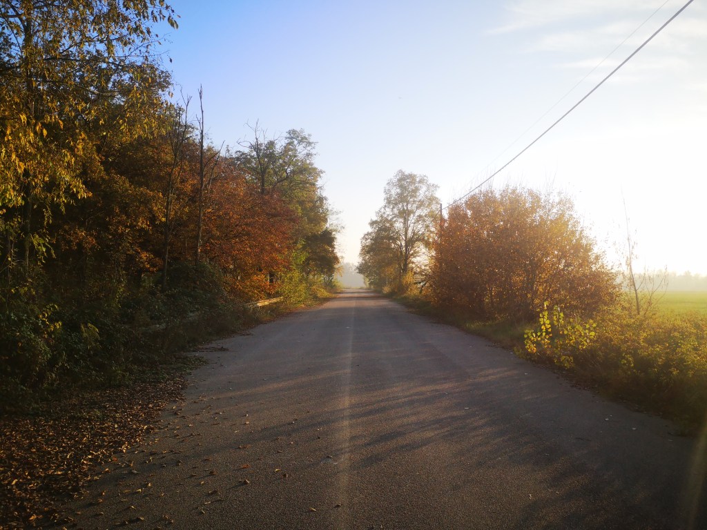 Equinozio d’autunno: cose da sapere per l’anniversario che (quest’anno) cade il 22&nbsp;settembre