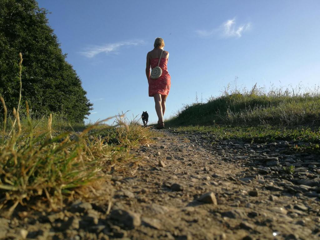 Camminata con Volare Insieme ODV a Lonate&nbsp;Pozzolo