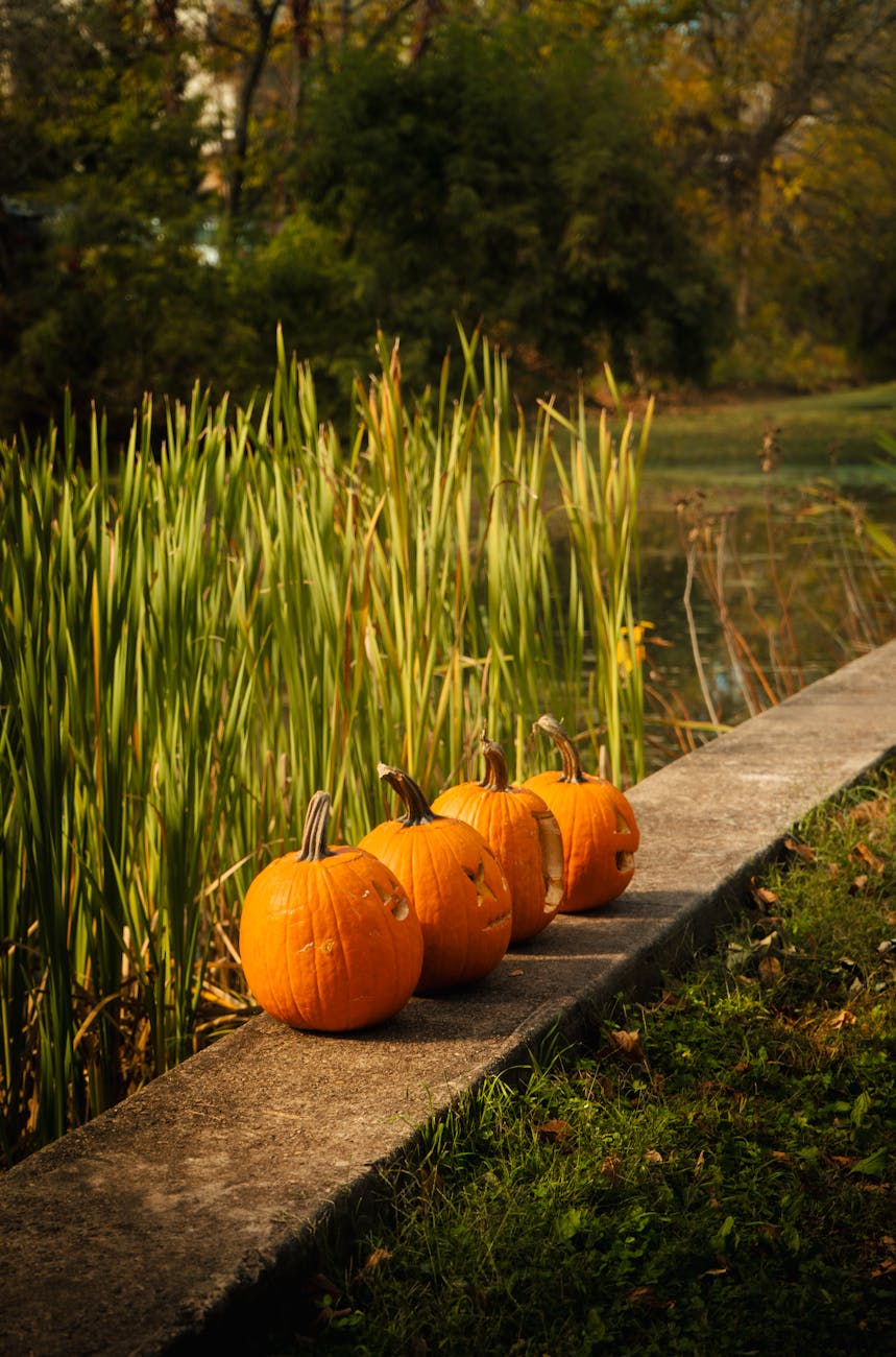 Halloween nella natura: avventura nella Palude&nbsp;Brabbia