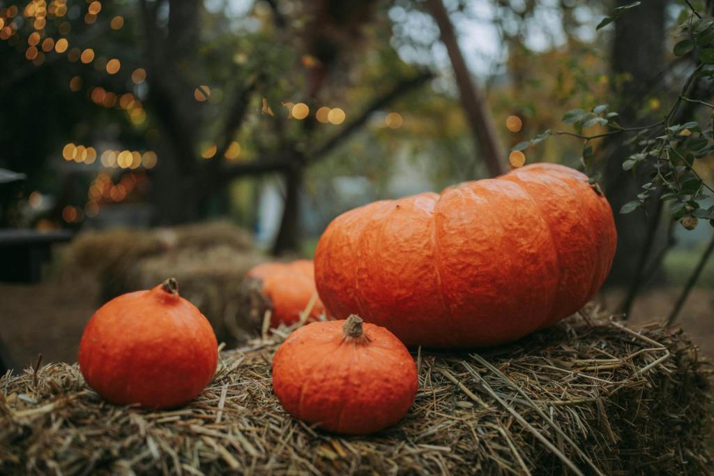La magia d’autunno si accende a Gavirate con la Festa della&nbsp;Zucca