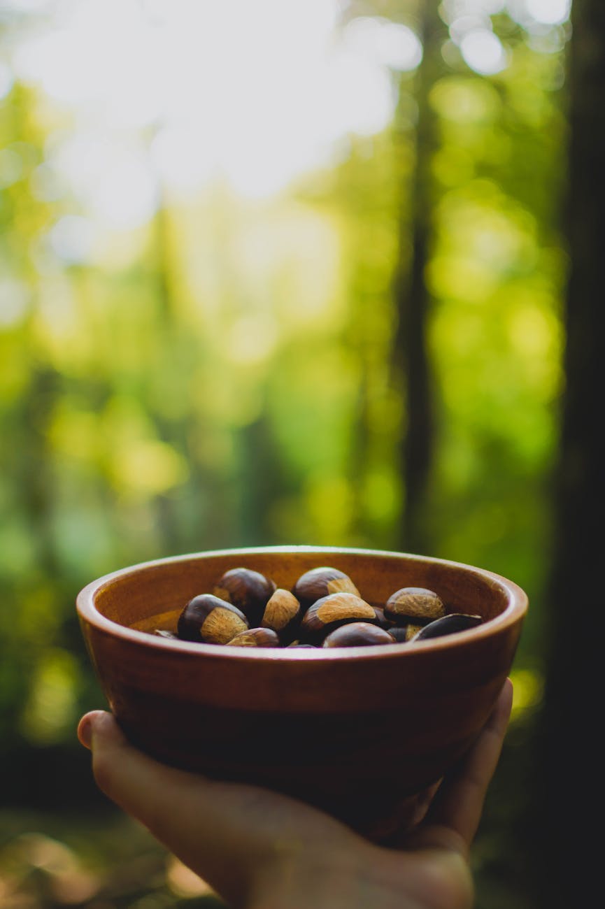 Castagne, profumi d’autunno e tanta allegria: torna la Castagnata di&nbsp;Comerio