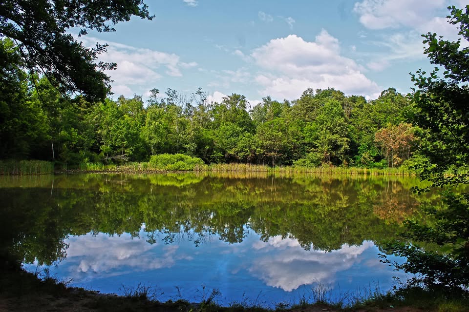 A Solaro una serata per riscoprire il piacere semplice – e rivoluzionario – di&nbsp;camminare