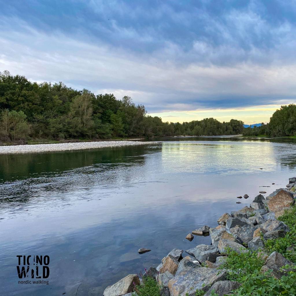 Festa degli Alberi: escursione guidata sulla Via Gaggio con Ticino Wild&nbsp;APS