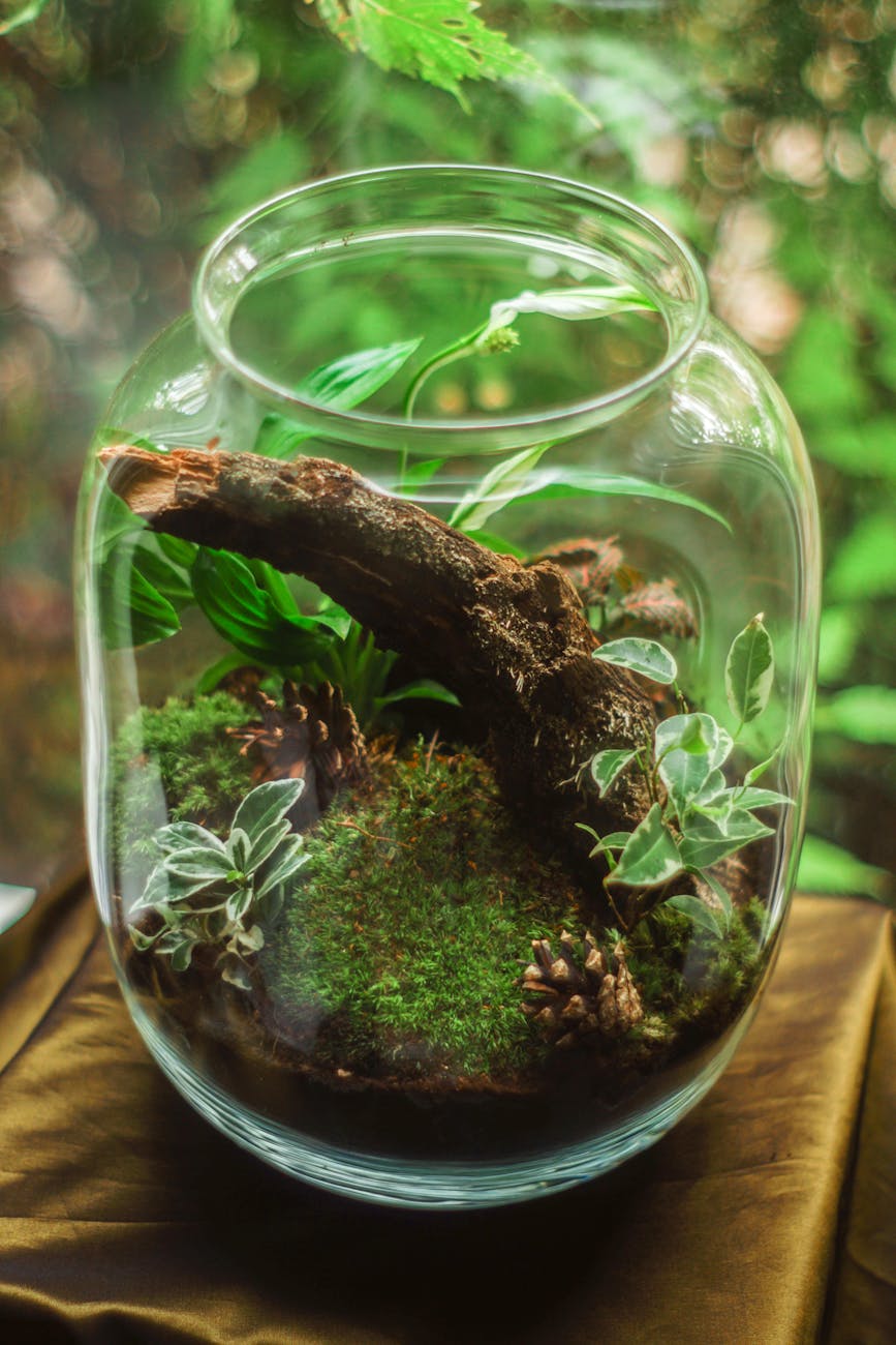 Un pomeriggio green per mamme e bambini: arriva il Workshop&nbsp;Terrarium