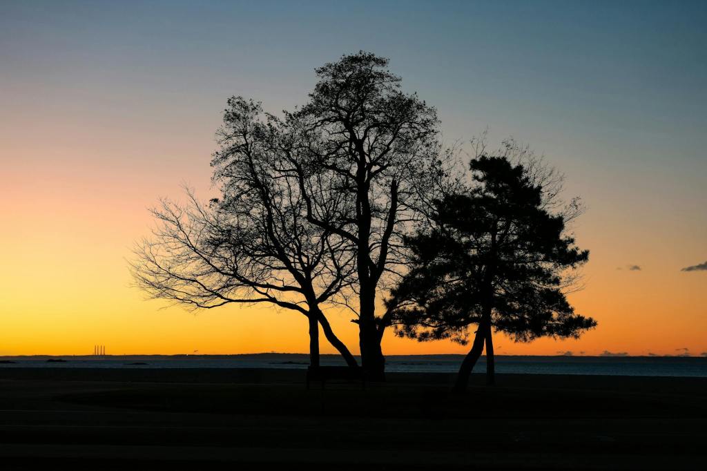 L’estate di San Martino: quando novembre si crede giugno (più o&nbsp;meno)