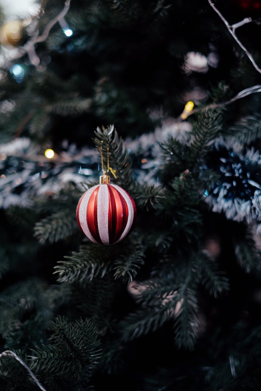 Mercato di Natale Bio & Solidale – Castello&nbsp;Cabiaglio