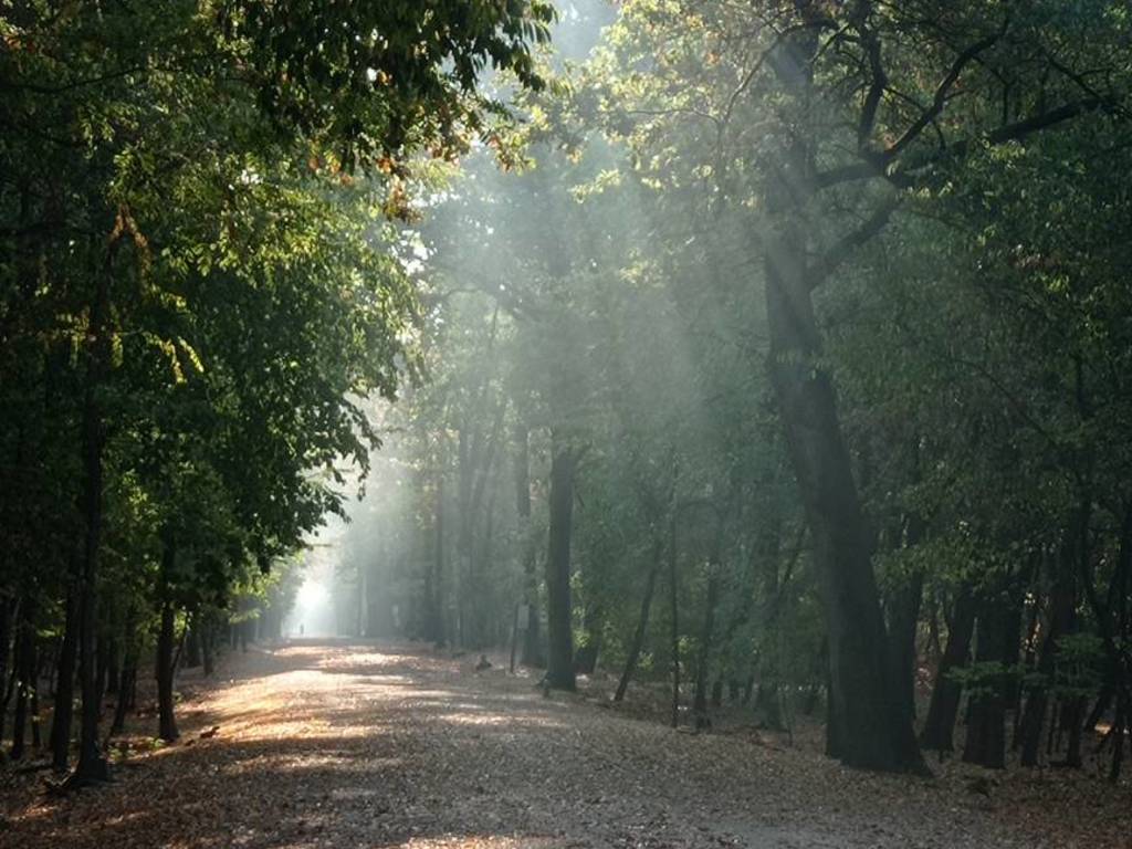 TSW Guides porta il pubblico alla scoperta del “Campo della&nbsp;Promessa”