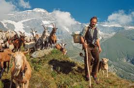 Carlo Meazza 80 — Sguardi sul Mondo. Una vita raccontata per immagini, tra sport, viaggi e&nbsp;incontri