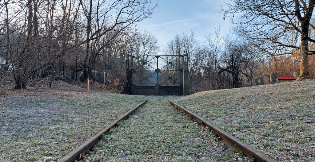 Tra Italia e Svizzera, a passo lento: il nuovo Sentiero dei Cippi di&nbsp;Confine