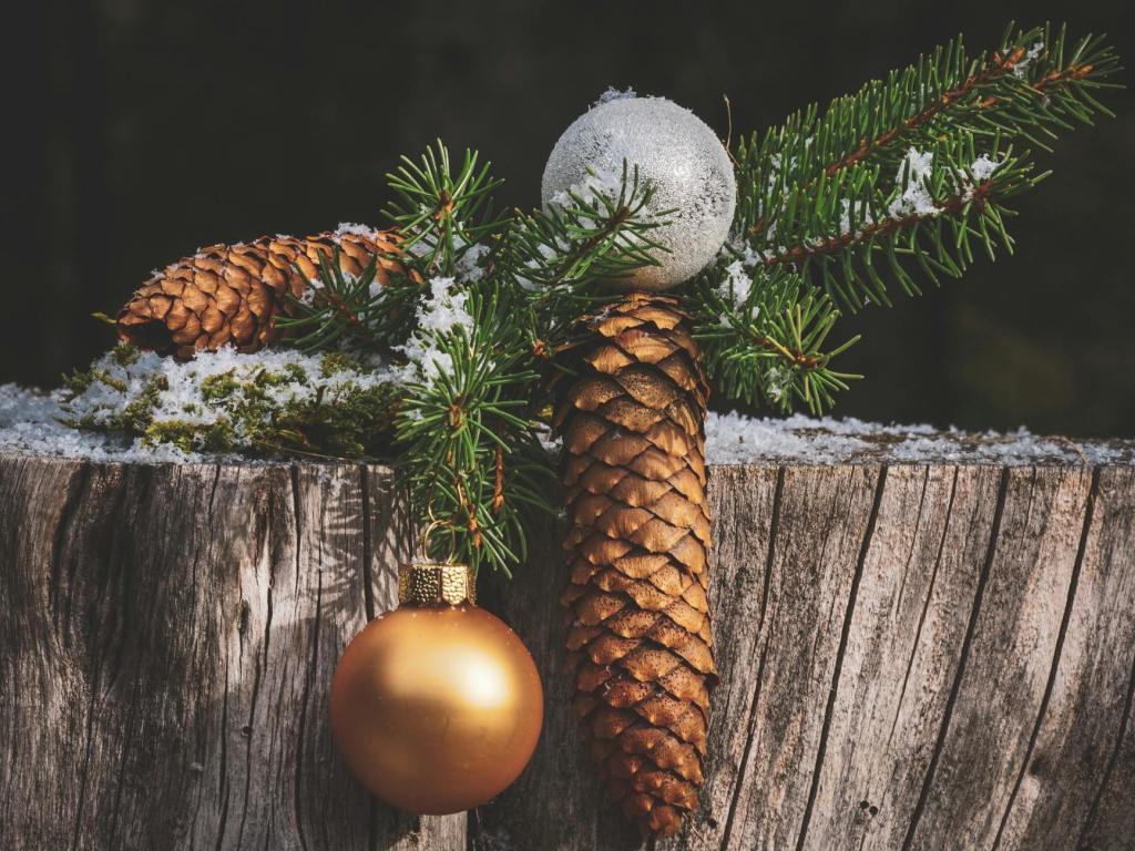 Mercatini di Natale 2025 a Ceriano&nbsp;Laghetto