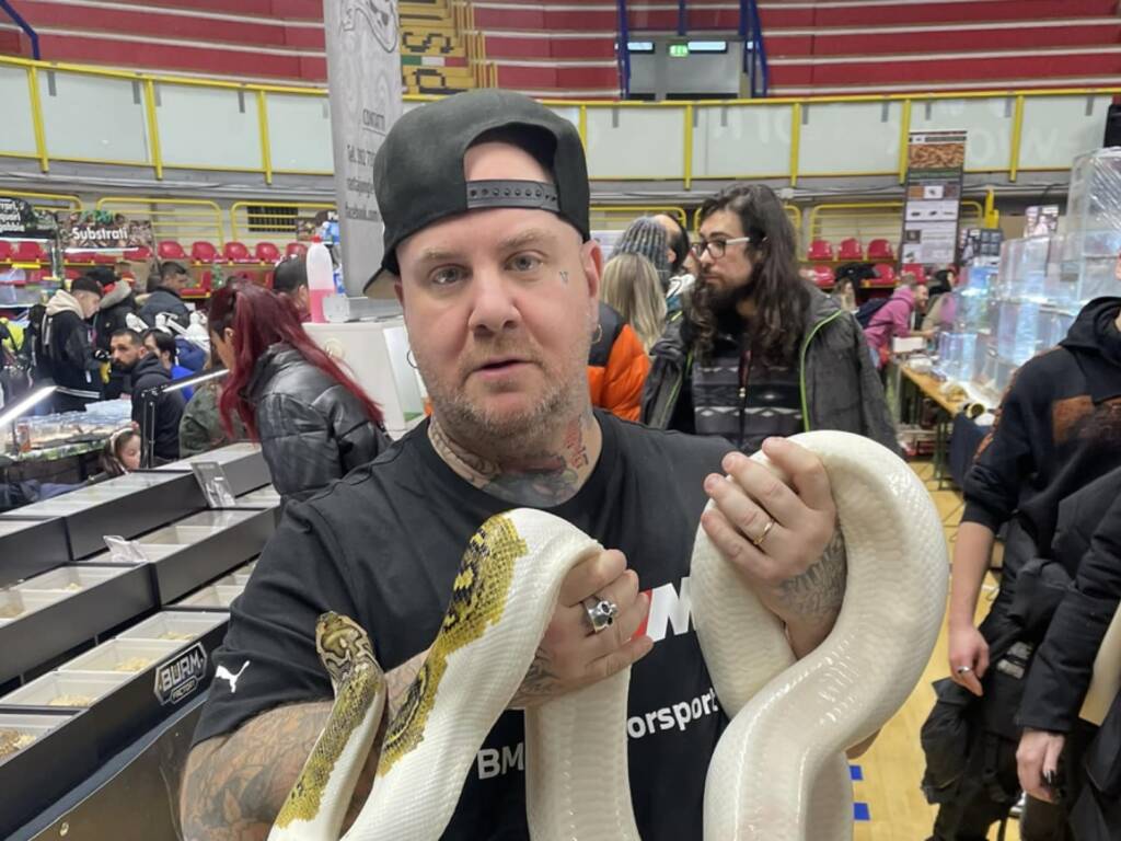 Striscia, cambia colore e affascina: alla E-Work Arena torna il Milano Reptiles&nbsp;Meeting