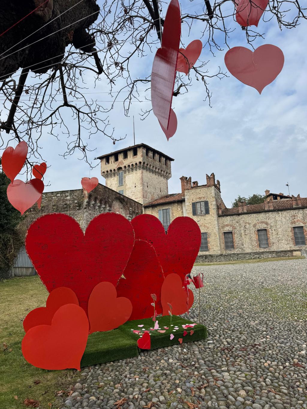 Somma Lombardo, l’Albero dei 100 Cuori illumina San&nbsp;Valentino