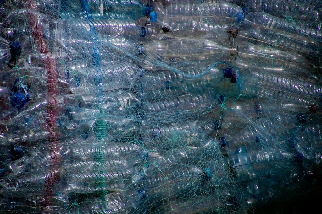 Gallarate si rimette in ordine: giornata di pulizia ambientale con Plastic&nbsp;Free