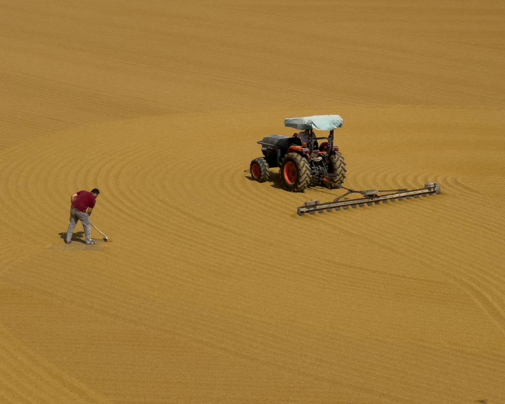 Pranzo della Festa degli&nbsp;Agricoltori