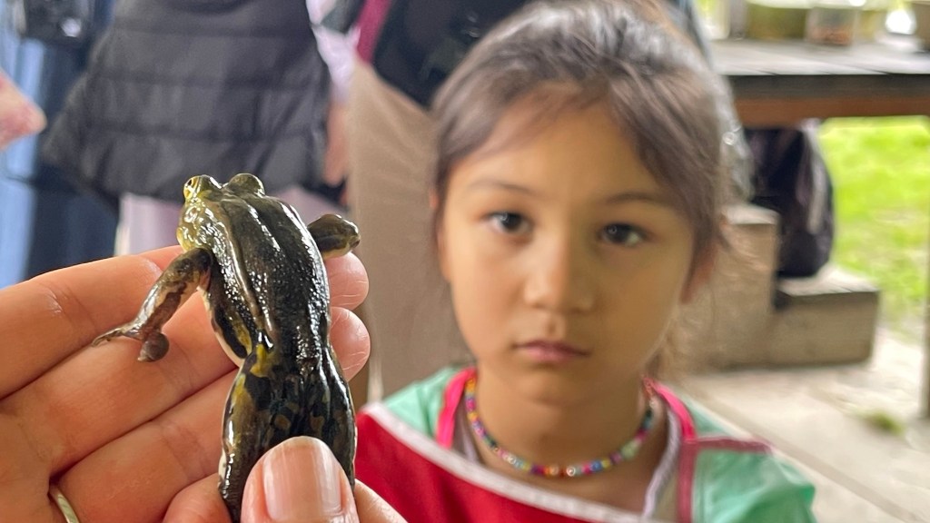 Palude Brabbia: una domenica da piccoli esploratori tra aquiloni, birdwatching e&nbsp;magia