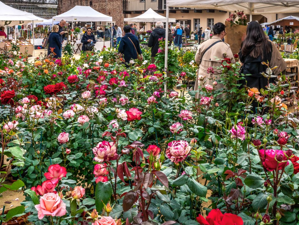 Novara, è tempo di Fiorissimo al castello&nbsp;2026