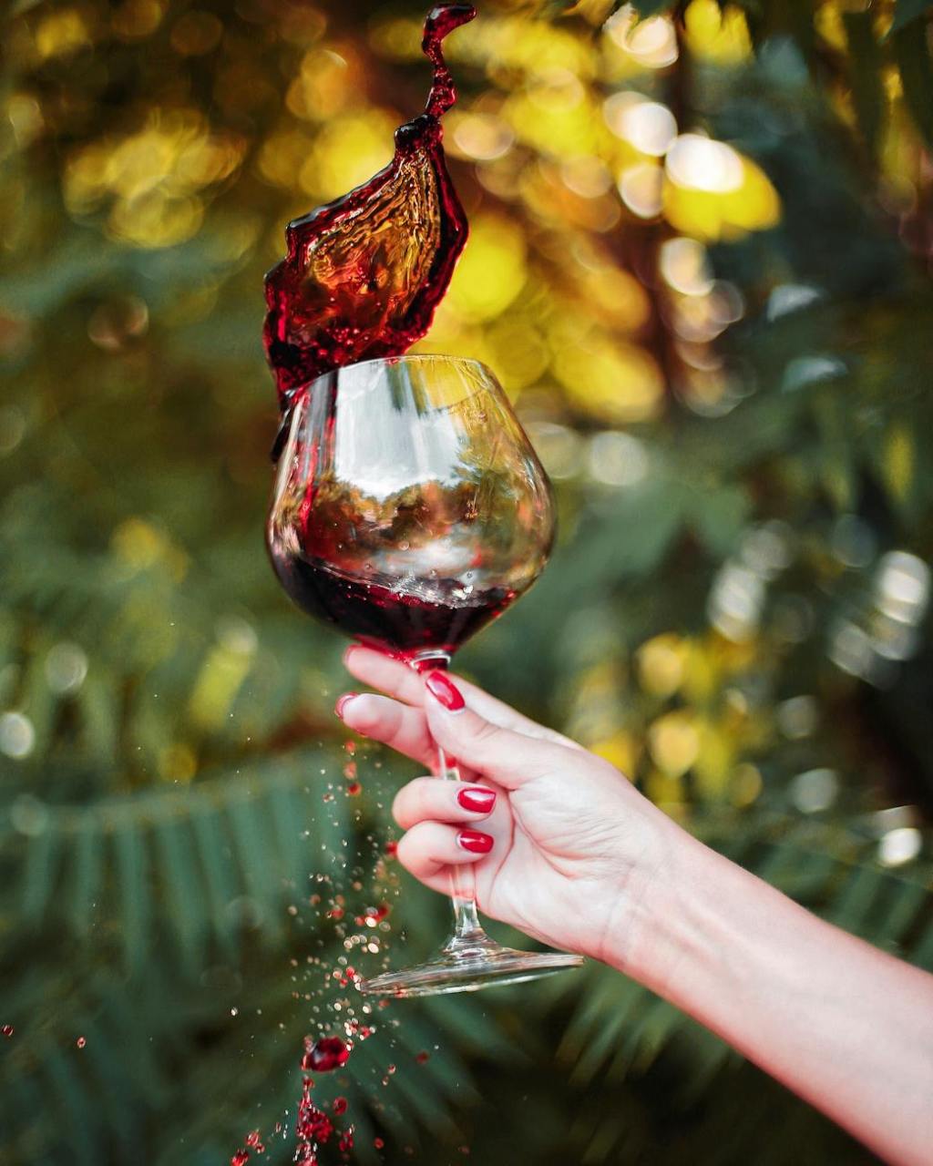 Calici al Museo torna a Busto Arsizio per un weekend tutto gourmet