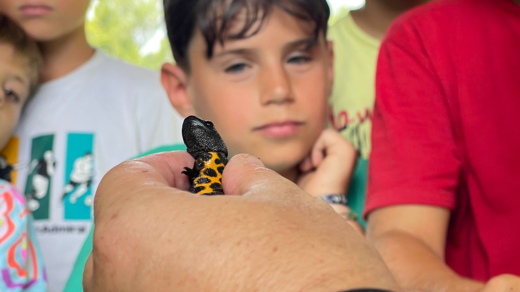 Tra rapaci, “erbacce” e girini: domenica alla Palude Brabbia la primavera si studia (e si&nbsp;vive)