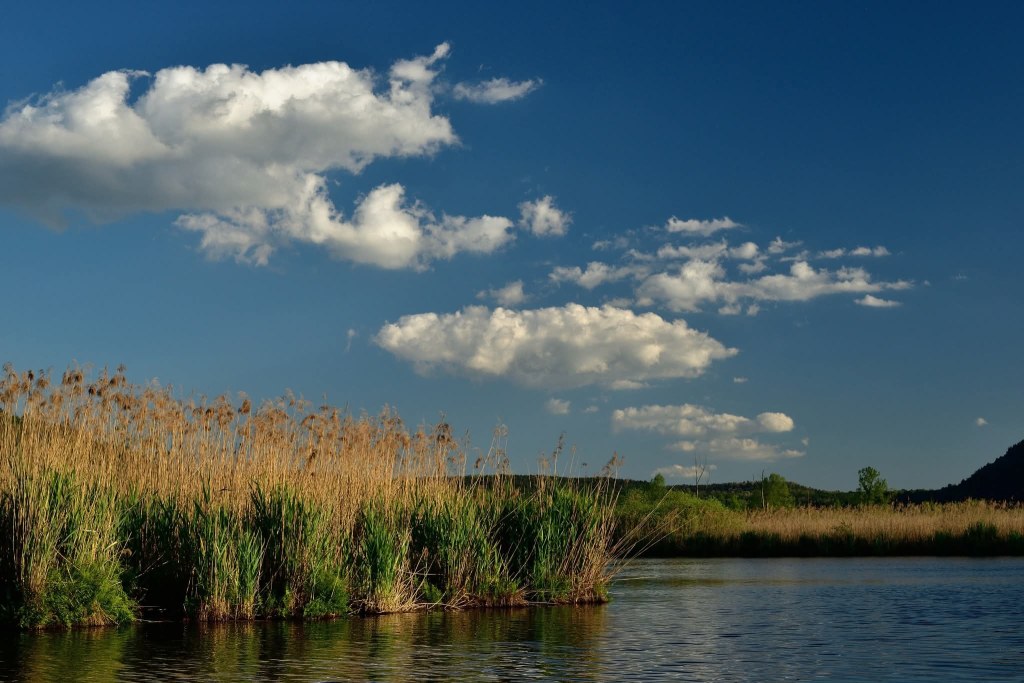Primavera alla Palude Brabbia: tutto il programma di aprile (pasquetta&nbsp;compresa!)