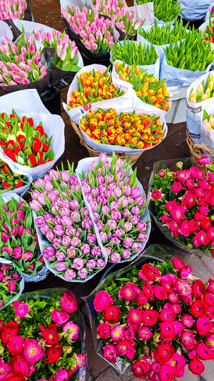 Festa di Primavera: artigianato, illustrazioni e lavoratori a Sant’Edoardo