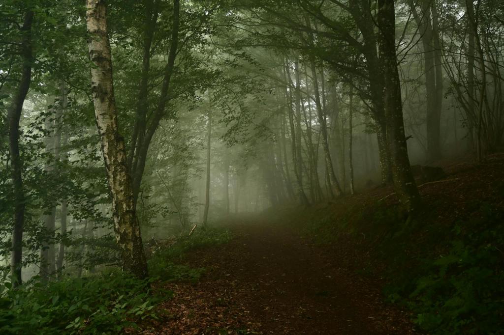Orino: tutto quello che c’è da sapere sui fantasmi della&nbsp;Rocca