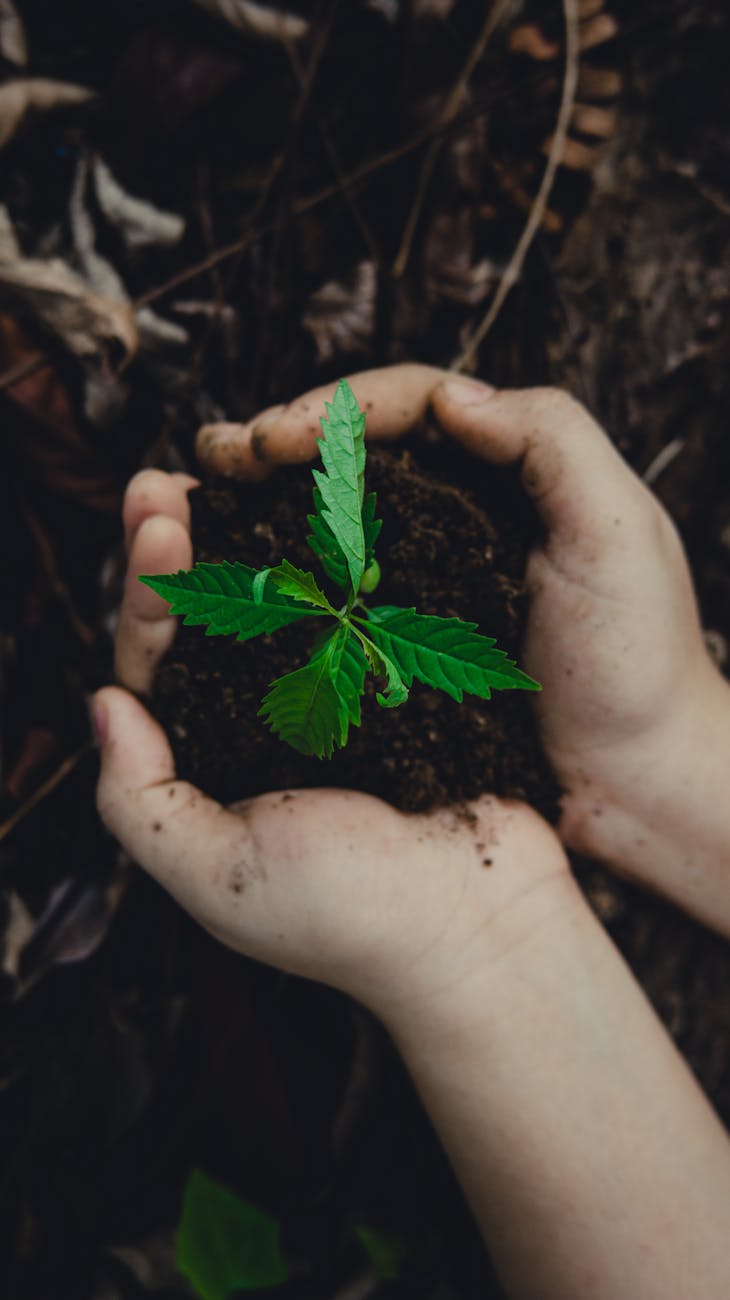 Festival del Futuro Sostenibile 2026: tre giorni per immaginare&nbsp;domani