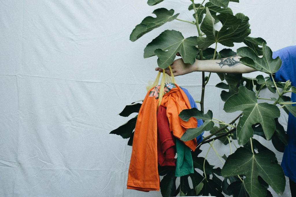 Swap, chiacchiere e rivoluzioni gentili: a Tradate arriva il primo Swap Party&nbsp;cittadino