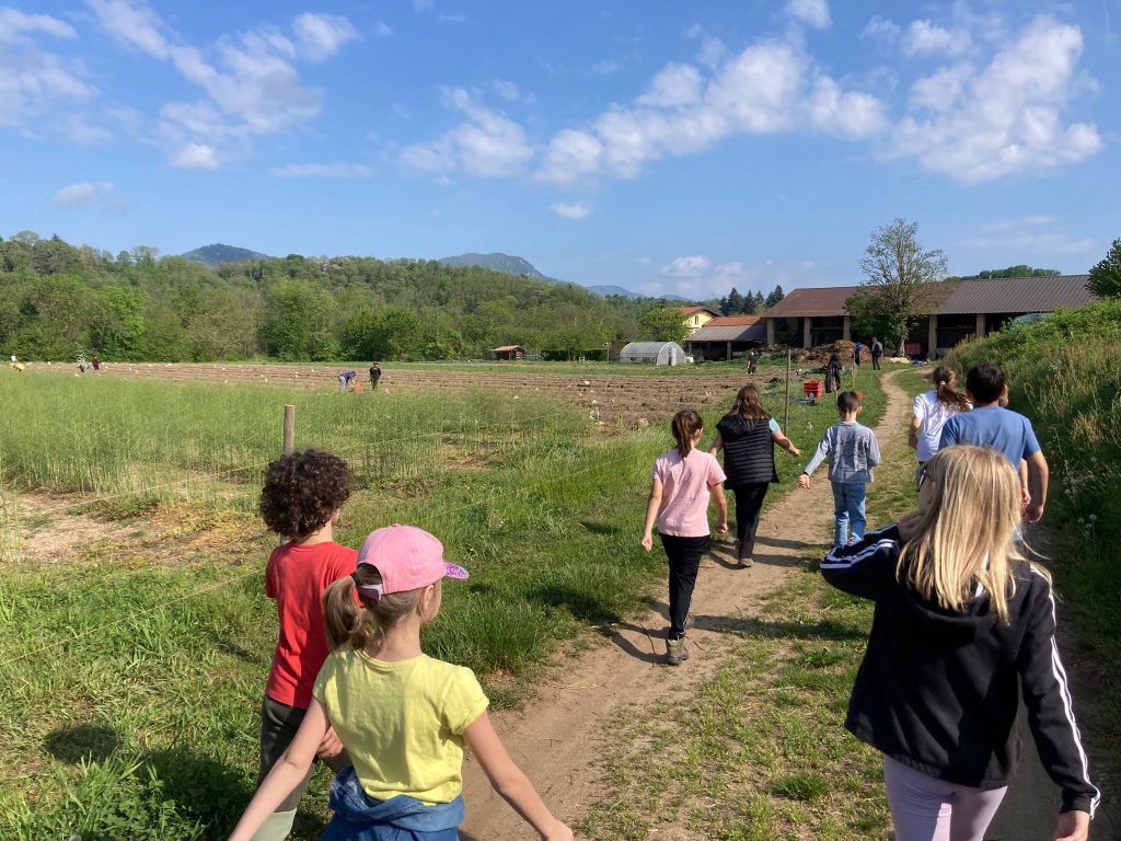 A spasso nella Bevera: il 2 giugno a Cantello una passeggiata gratuita tra natura e orientamento per&nbsp;bambini