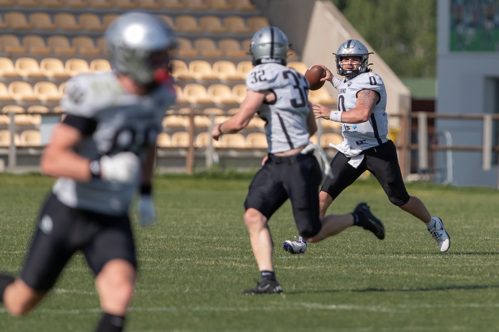 FROGS Legnano ai playoff: sabato la sfida da dentro o fuori contro i Dolphins&nbsp;Ancona