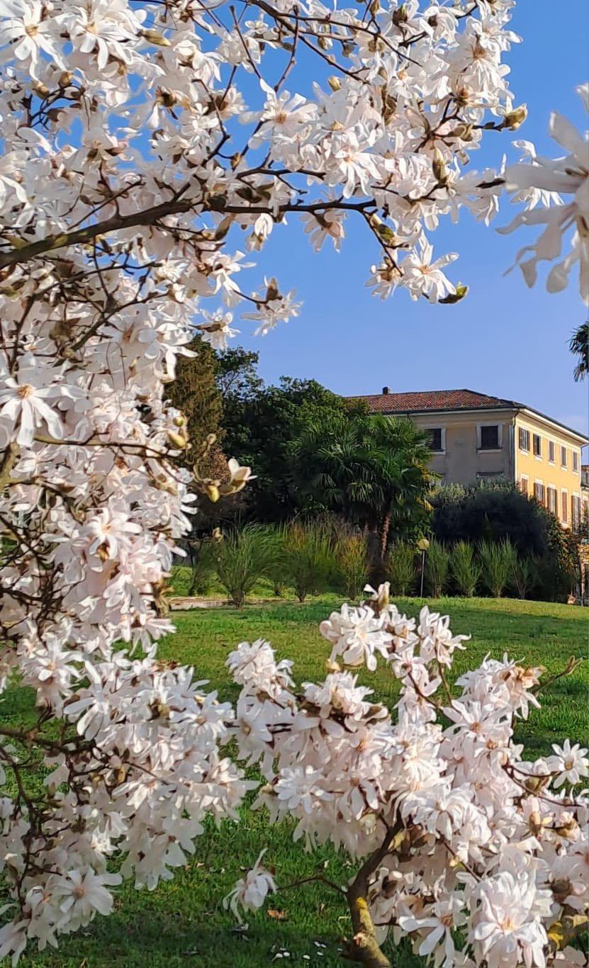 Festa dell’Incontro, a Barza d’Ispra una giornata tra natura, tradizioni e&nbsp;inclusione