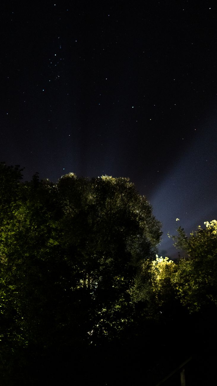 Passeggiata sotto le stelle a Vizzola Ticino: domenica 9 agosto una serata tra natura e cielo&nbsp;estivo
