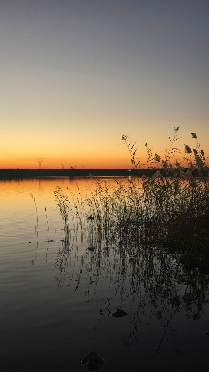 Tramonto in musica a Monvalle: concerto sul lago con il Quartetto&nbsp;d’archi