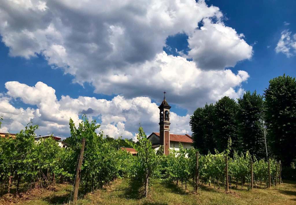 Abbiate Guazzone celebra la Madonna delle Vigne: una giornata tra fede, musica e&nbsp;tradizione