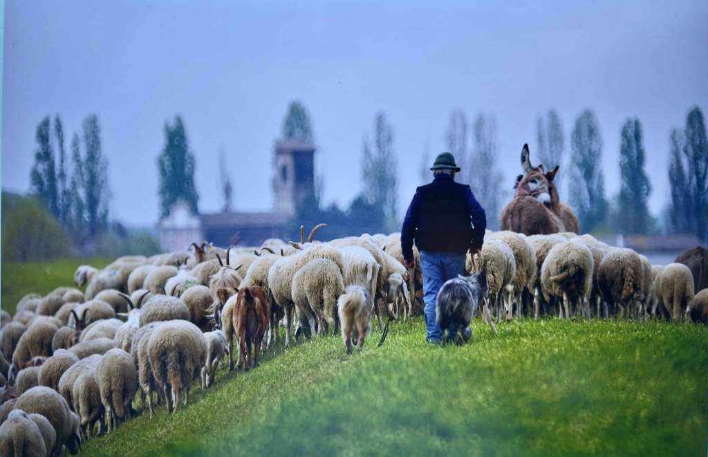 Oktoberfoto 2026 entra nel vivo: a Varese un weekend tra audiovisivi e fotografia