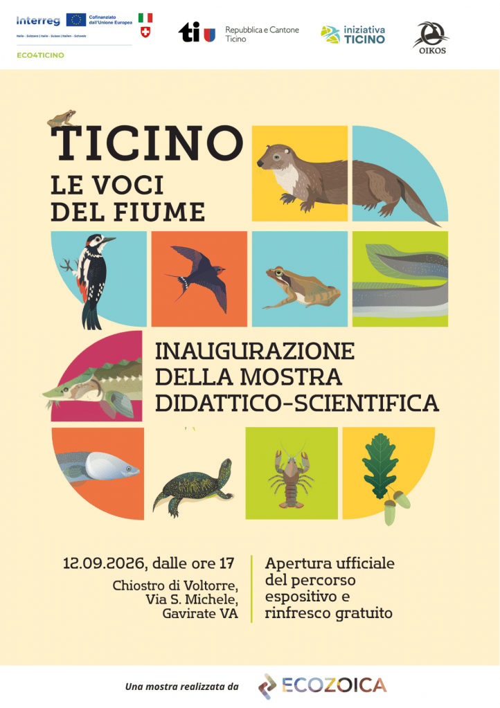 Manifesto per la mostra 'Ticino: Le voci del fiume' con animali acquatici e informazioni sull'inaugurazione.