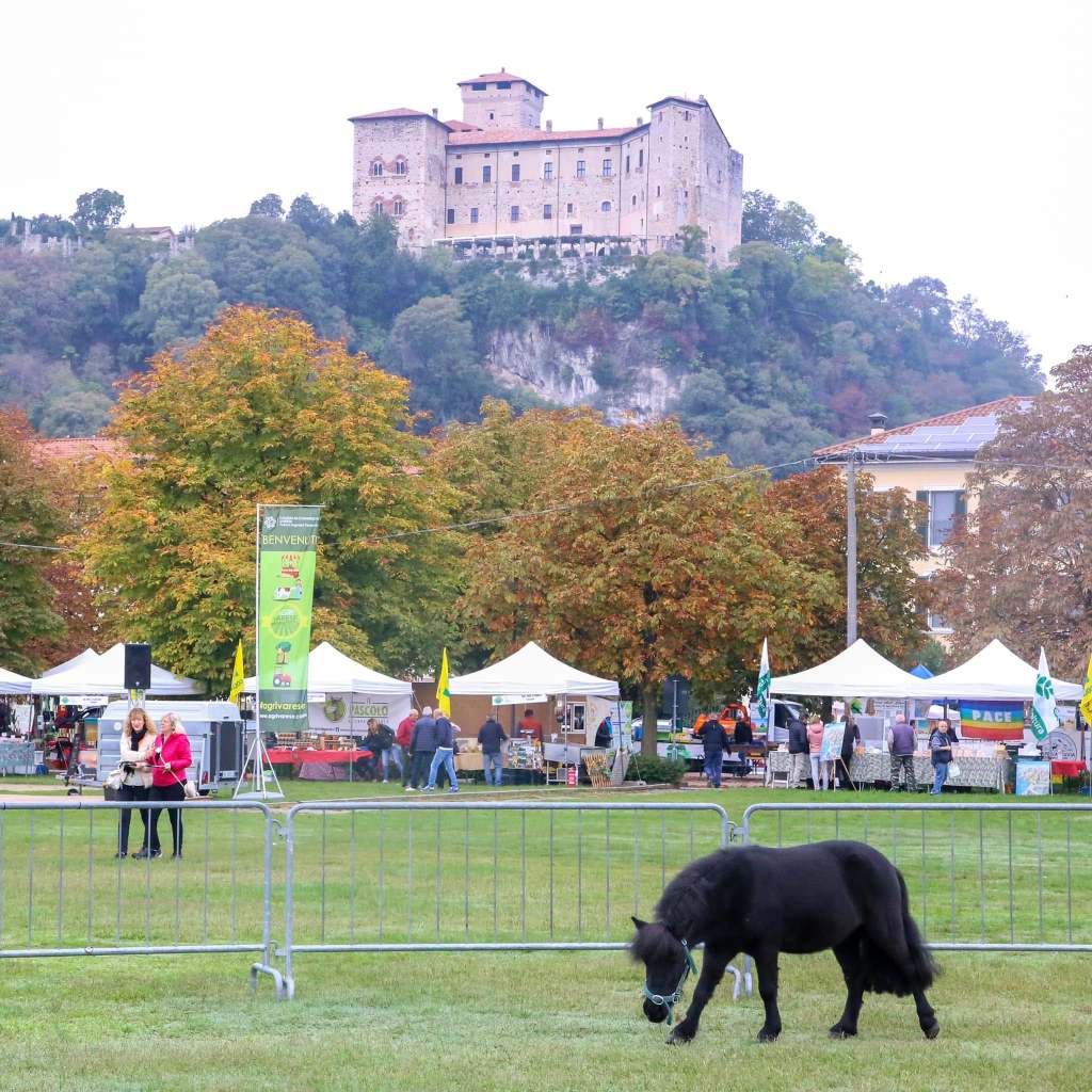 Un cavallo nero al pascolo in un festival all'aperto, con un castello sullo sfondo e varie tende di espositori.