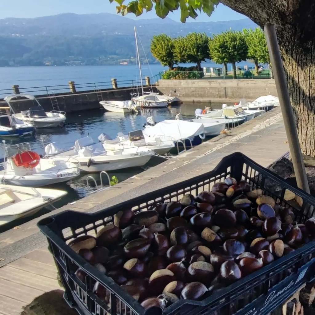 Castagnata sul lago a Ranco: una domenica d’autunno tra castagne e buon&nbsp;cibo